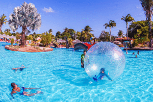 20210114155338_6000933256fbf