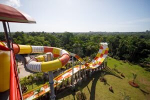 20220910174233_631cf6b91fd61