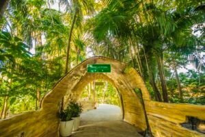 20241015132652_670e97ccc83ec