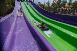 20241219215643_6764c0cb23e09